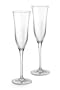 Clearly Waterford Flute Pair