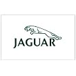 Jaguar Logo Flag 3ft x 5ft Nylon