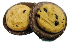 Sugar Free Chocolate Chip Cookies Dipped in Sugar Free Milk Chocolate, 1 lb bag by Landies Candies