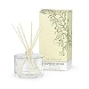 Archipelago Grapefruit Diffuser for the Home 2.0 oz