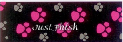 Dog It Style Nylon Leash/Comfort Handle Footloose Pink/Black Medium 5/8IN. X 6ft. - Dog It D0487