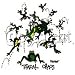Toadal Chaos Adult T-Shirt