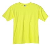 Anvil Chromazone Garment-Dyed Ringspun T-Shirt