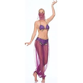 FREE SHIPPING - Harem Dancer - Womens Sexy Belly Dance Costume Lingerie Outfits by 3WISHES.COM