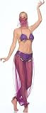 FREE SHIPPING – Harem Dancer – Womens Sexy Belly Dance Costume img