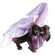 Fun World Princess Dog Costume
