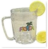 Tervis 17oz. Florida Mug CLEAR