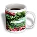 Koi Pond and Flowers - 11oz Mug