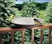 Outdoor Living : API 645 Bird Bath Bowl with Tilt-to-Clean Deck Rail Mounting Bracket