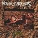 Fall [Vinyl LP]