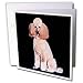   - Dogs Poodle - Pink Poodle - Greeting Cards-12 Greeting Cards with envelopes
