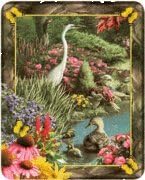 3d Framable Mini Poster 8x10 (Nature's Embrace)