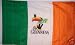 NEOPlex 3' x 5' Ireland Guiness Beer Flag