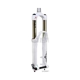 RockShox Totem RC2L Suspension Fork 2-Step Air White Tapered DH