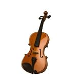 Acoustic Violins