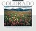 Book USA States W& S Colorado Calendar
