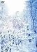 ポニーキャニオン virtual trip 雪景色 snow scenery トールパッケージ化&低価格化 [DVD] ウォン・ウィン・ツァン