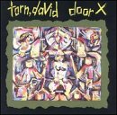 David Torn - Door X - Zortam Music