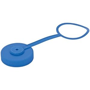 Nalgene Lid Wide Mouth Loop-Top Water Bottle (Blue)