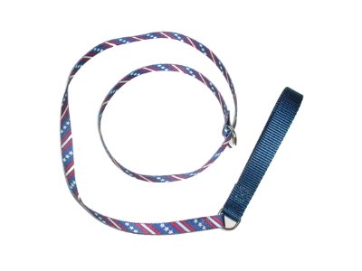 Dog Leash Slip Lead 4' x 5/8