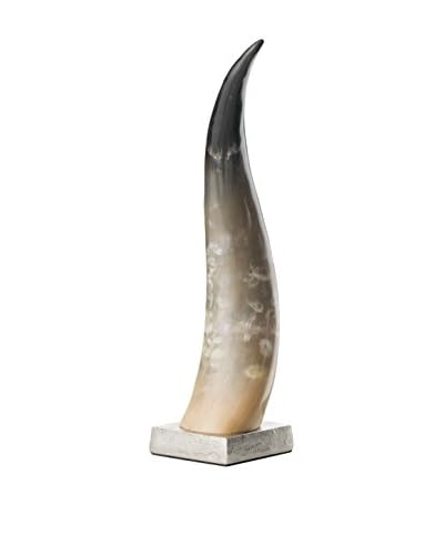 Concept  Elemento Decorativo