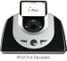 iPort FS-5 Free Standing iPod Docking System (black)