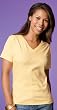 Ladies' V-neck Tee Shirt