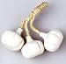 Garlic Bundle - 3 PCS