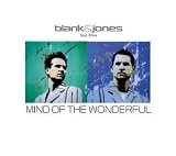 Mind of the Wonderful