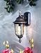 Minka Lavery Lights 8750-161 Medium Wall Mount Light - Mossoro Walnut Outdoor Lighting