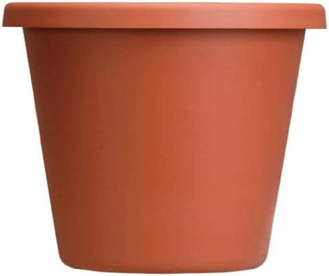 Akro 16" Classic Pot Clay