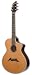 Breedlove Pro Series C25/CR, Herringbone Acoustic Electric Guitar, Made in U.S.A.