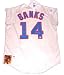 Ernie Banks Autographed Chicago Cubs MLB Baseball Jersey