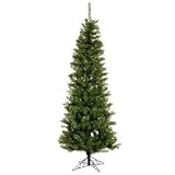 Christmas Tree - Salem Pencil Pine - A103056