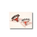 University of Texas Longhorns - Pewter ArchLogo Post Earrings