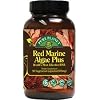 Red Marine Algae Plus by Pure Planet 90 (500mg) Capsules