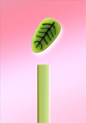Sweet Leaf Preisvergleich