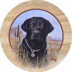 Set of four Killen's Black Lab Thirstystone Coasters- Style tsjk6 by Thirstystone