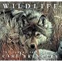 Wildlife: The Nature Paintings of Carl Brenders by Carl Brenders