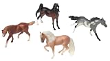 Stablemates Gift Pack