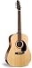 Seagull Maritime Spruce Top Acoustic Guitar with High Gloss Top