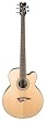 Dean Acoustic/Electric Bass Cutaway 5 String Satin Finish