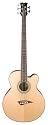 Dean Acoustic-Electric Bass Cutaway 5 String Satin Finish