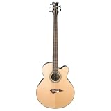 Bass Guitar Acoustic Electric