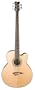 Dean Acoustic-Electric Bass Cutaway 5 String Satin Finish