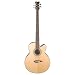 Dean Acoustic-Electric Bass Cutaway 5 String Satin Finish