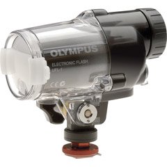 Photo: Olympus UFL 1   Underwater flash   14  m 