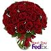 Roses - Romane Conti