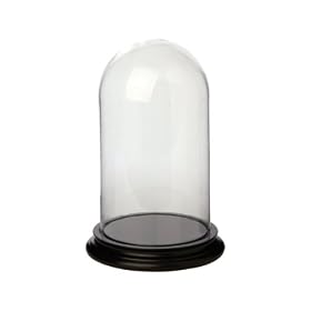 Medium Glass Dome Bell Jar