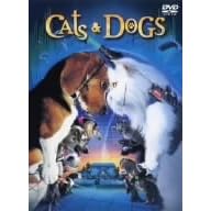 �L���b�c&�h�b�O�X ���ʔ� [DVD]